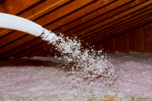 Best Cellulose Insulation in Eerlin, ND