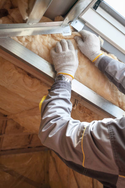 Types of Insulation We Offer in Enderlin, ND