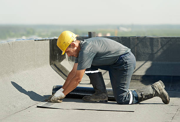 Best Spray Foam Insulation in Eerlin, ND