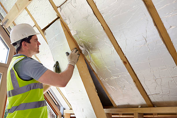 Best Residential Insulation in Eerlin, ND